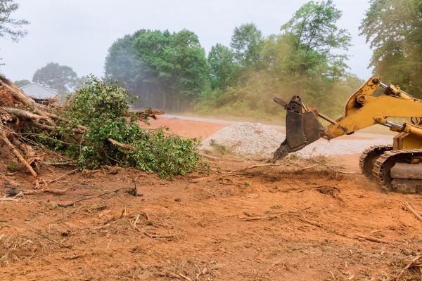 Ground Clearing in Lilburn