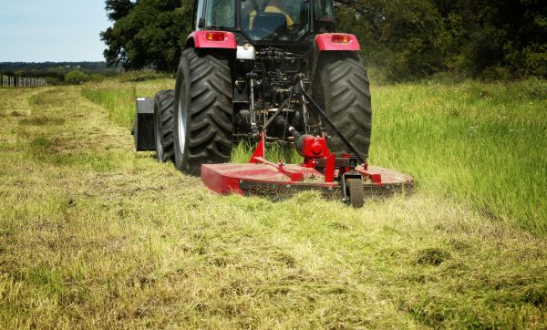 Brush Clearing Service in Lilburn