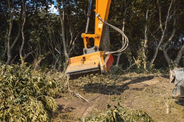 Brush Removal Service in Lilburn