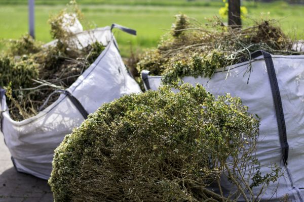 Cost of Bushes Clearing in Lilburn
