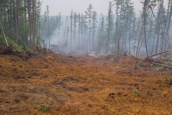 Cost of Hill Clearing in Lilburn