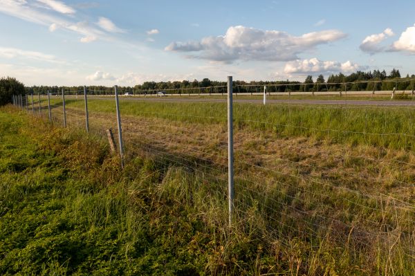 Cost of Property Line Clearing in Lilburn