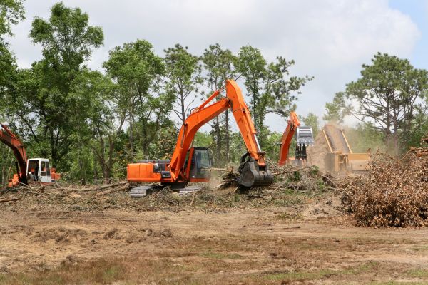 Cost of Commercial Lot Clearing in Lilburn