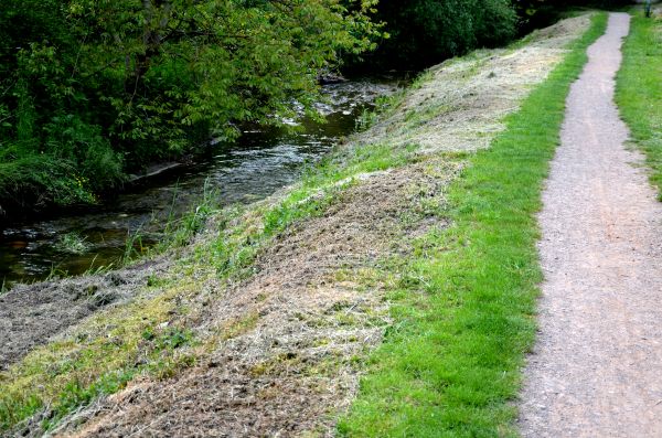 Cost of Trail Cutting in Lilburn