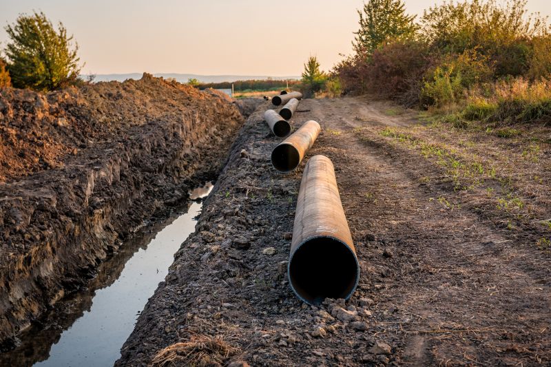 Property Line Clearing